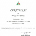 Powiększ obraz: certificate 11