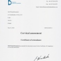 Powiększ obraz: certificate 8
