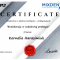 Powiększ obraz: certificate 5
