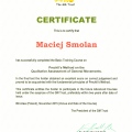 Powiększ obraz: certificate 4