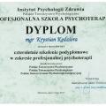 Powiększ obraz: certificate 1
