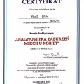 Powiększ obraz: certificate 41