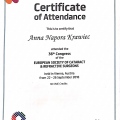 Powiększ obraz: certificate 5