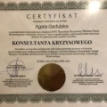 Powiększ obraz: certificate 2
