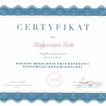Powiększ obraz: certificate 2