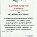 Powiększ obraz: certificate 4