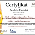 Powiększ obraz: certificate 17