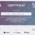 Powiększ obraz: certificate 11