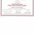 Powiększ obraz: certificate 54