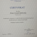 Powiększ obraz: certificate 40
