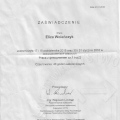 Powiększ obraz: certificate 7