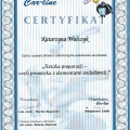 Powiększ obraz: certificate 1