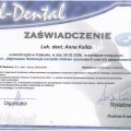 Powiększ obraz: certificate 10