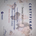 Powiększ obraz: certificate 3