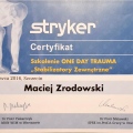 Powiększ obraz: certificate 29
