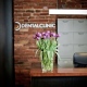 DENTAL CLINIC Gliwice - Kompleksowa stomatologia estetyczna