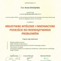Powiększ obraz: certificate 7