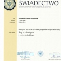 Powiększ obraz: certificate 9