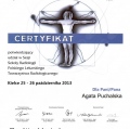 Powiększ obraz: certificate 9