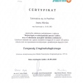 Powiększ obraz: certificate 3