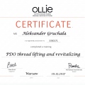 Powiększ obraz: certificate 7