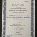 Powiększ obraz: certificate 27