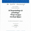 Powiększ obraz: certificate 4