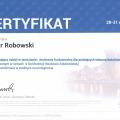 Powiększ obraz: certificate 13