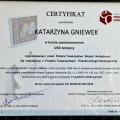 Powiększ obraz: certificate 3