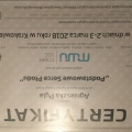 Powiększ obraz: certificate 8