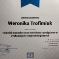 Powiększ obraz: certificate 4