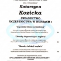 Powiększ obraz: certificate 2