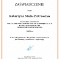 Powiększ obraz: certificate 3