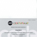 Powiększ obraz: certificate 5