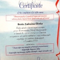 Powiększ obraz: certificate 12