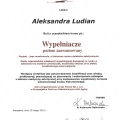 Powiększ obraz: certificate 9