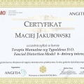 Powiększ obraz: certificate 5