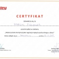 Powiększ obraz: certificate 42