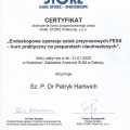 Powiększ obraz: certificate 1