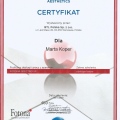 Powiększ obraz: certificate 7