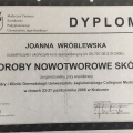Powiększ obraz: certificate 24