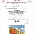 Powiększ obraz: certificate 2