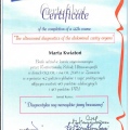 Powiększ obraz: certificate 2