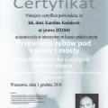 Powiększ obraz: certificate 10