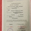 Powiększ obraz: certificate 13