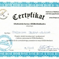 Powiększ obraz: certificate 4