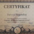 Powiększ obraz: certificate 7