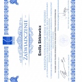 Powiększ obraz: certificate 6
