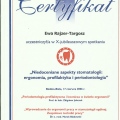 Powiększ obraz: certificate 11