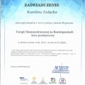 Powiększ obraz: certificate 5
